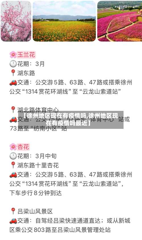 【徐州地区现在有疫情吗,徐州地区现在有疫情吗最近】-第1张图片