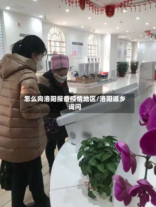 怎么向洛阳报备疫情地区/洛阳返乡询问-第1张图片
