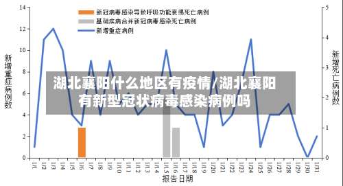湖北襄阳什么地区有疫情/湖北襄阳有新型冠状病毒感染病例吗-第2张图片