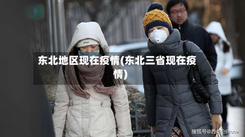 东北地区现在疫情(东北三省现在疫情)-第1张图片
