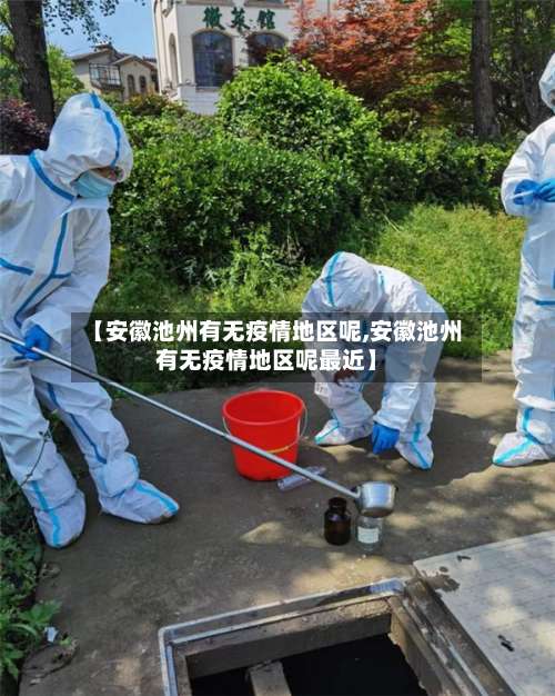 【安徽池州有无疫情地区呢,安徽池州有无疫情地区呢最近】-第3张图片