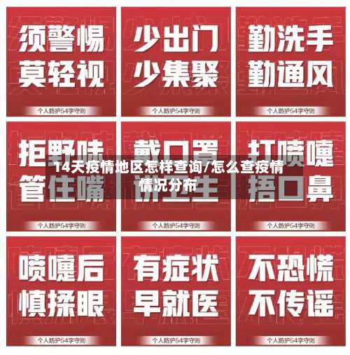 14天疫情地区怎样查询/怎么查疫情情况分布-第3张图片