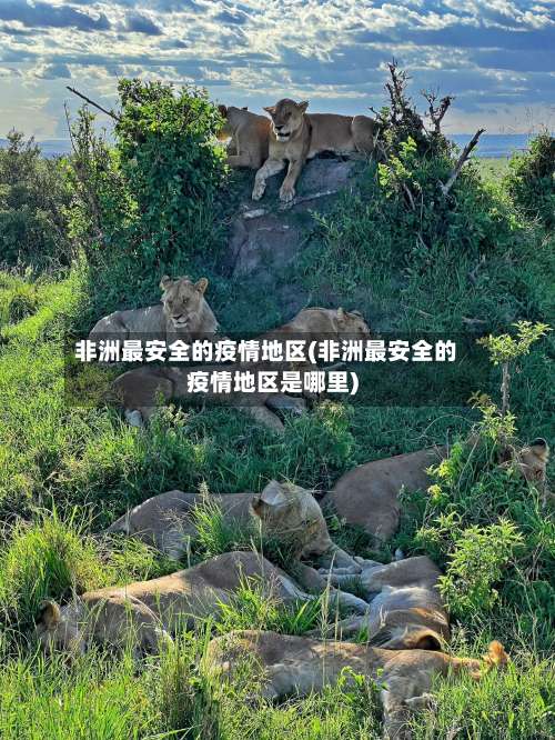 非洲最安全的疫情地区(非洲最安全的疫情地区是哪里)-第2张图片