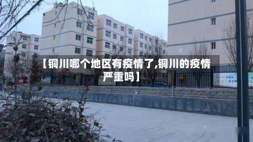 【铜川哪个地区有疫情了,铜川的疫情严重吗】-第2张图片