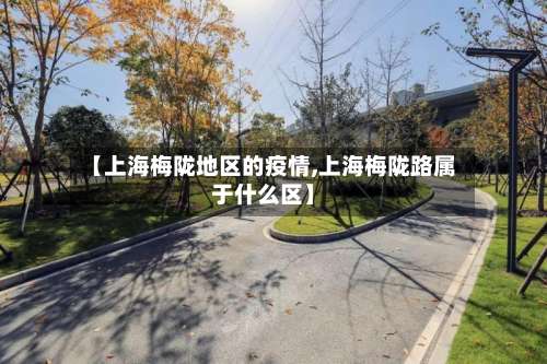 【上海梅陇地区的疫情,上海梅陇路属于什么区】-第1张图片