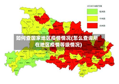 如何查国家地区疫情情况(怎么查询所在地区疫情等级情况)-第3张图片