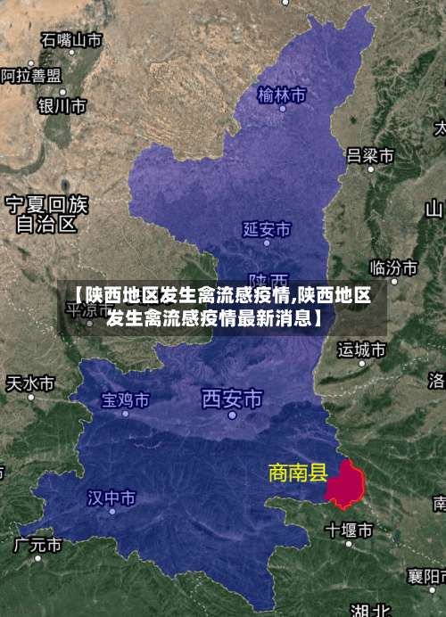 【陕西地区发生禽流感疫情,陕西地区发生禽流感疫情最新消息】-第2张图片