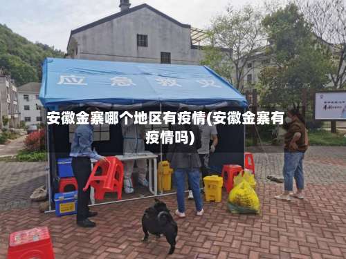 安徽金寨哪个地区有疫情(安徽金寨有疫情吗)-第2张图片