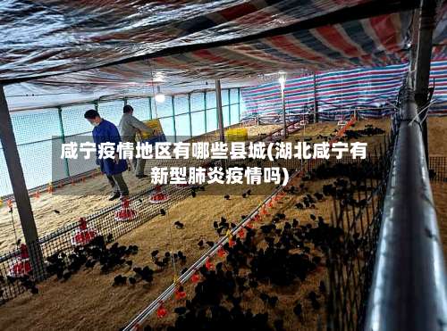 咸宁疫情地区有哪些县城(湖北咸宁有新型肺炎疫情吗)-第2张图片