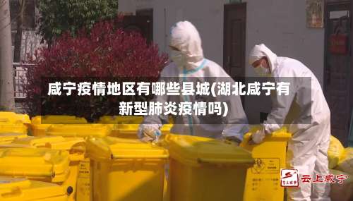 咸宁疫情地区有哪些县城(湖北咸宁有新型肺炎疫情吗)-第3张图片