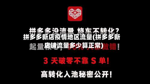 拼多多新店疫情地区流量(拼多多新店铺流量多少算正常)-第1张图片