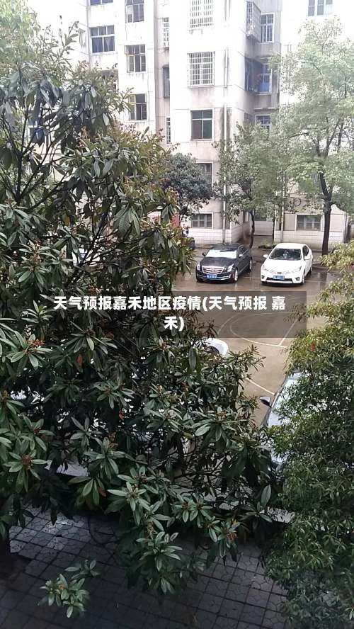 天气预报嘉禾地区疫情(天气预报 嘉禾)-第1张图片