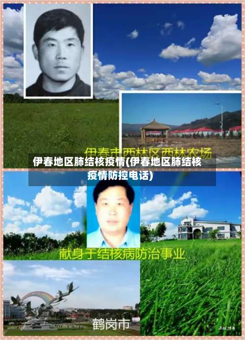 伊春地区肺结核疫情(伊春地区肺结核疫情防控电话)-第2张图片