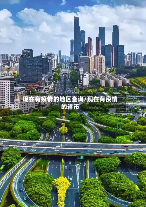 现在有疫情的地区查询/现在有疫情的省市-第1张图片