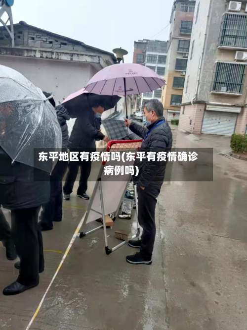 东平地区有疫情吗(东平有疫情确诊病例吗)-第3张图片