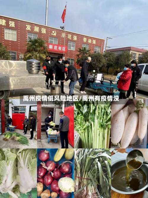 禹州疫情低风险地区/禹州有疫情没-第2张图片