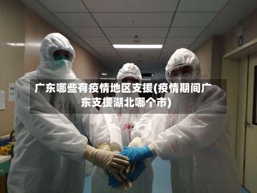 广东哪些有疫情地区支援(疫情期间广东支援湖北哪个市)-第2张图片