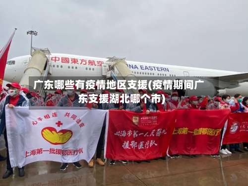 广东哪些有疫情地区支援(疫情期间广东支援湖北哪个市)-第3张图片