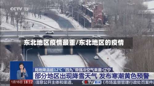 东北地区疫情最重/东北地区的疫情-第2张图片