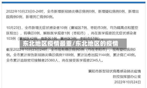 东北地区疫情最重/东北地区的疫情-第3张图片