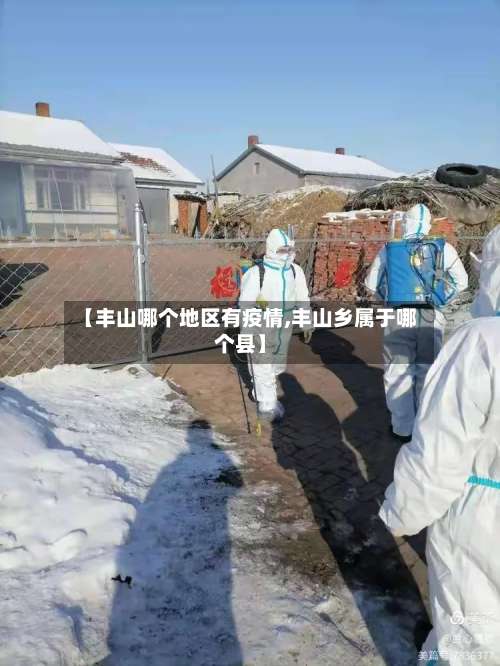 【丰山哪个地区有疫情,丰山乡属于哪个县】-第1张图片