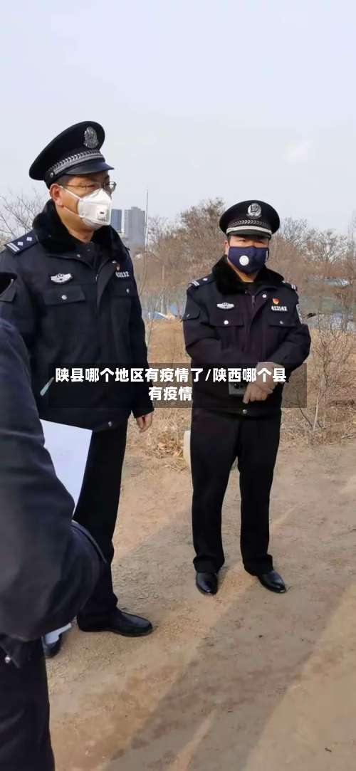 陕县哪个地区有疫情了/陕西哪个县有疫情-第2张图片