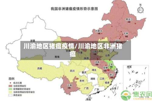 川渝地区猪瘟疫情/川渝地区非洲猪瘟-第1张图片
