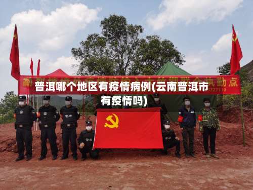 普洱哪个地区有疫情病例(云南普洱市有疫情吗)-第2张图片