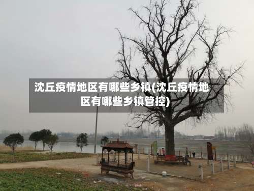 沈丘疫情地区有哪些乡镇(沈丘疫情地区有哪些乡镇管控)-第1张图片