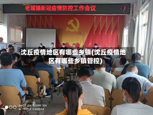 沈丘疫情地区有哪些乡镇(沈丘疫情地区有哪些乡镇管控)-第2张图片