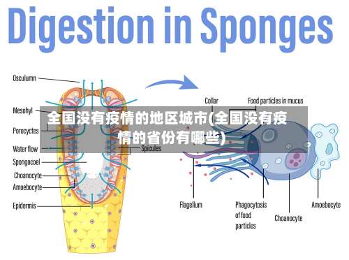 全国没有疫情的地区城市(全国没有疫情的省份有哪些)-第1张图片