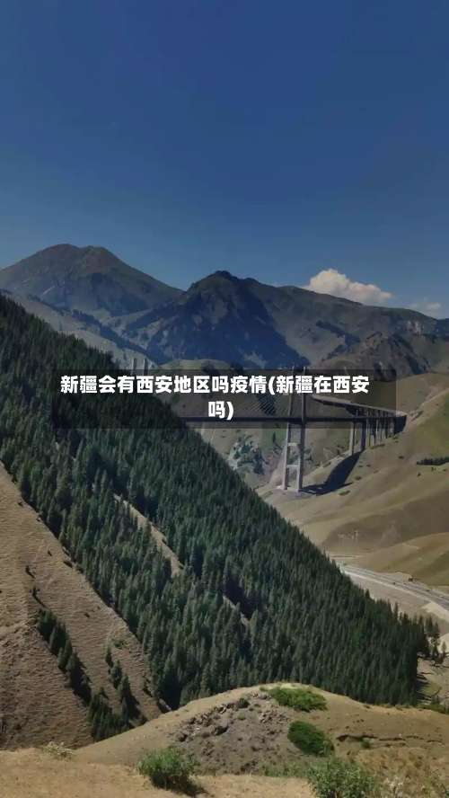 新疆会有西安地区吗疫情(新疆在西安吗)-第3张图片