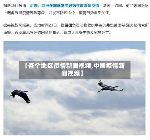 【各个地区疫情新闻视频,中国疫情新闻视频】-第1张图片