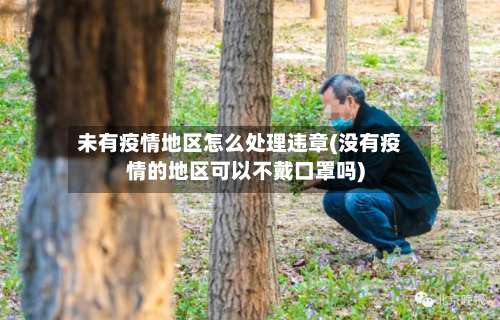 未有疫情地区怎么处理违章(没有疫情的地区可以不戴口罩吗)-第1张图片