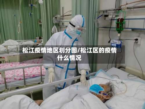 松江疫情地区划分图/松江区的疫情什么情况-第1张图片