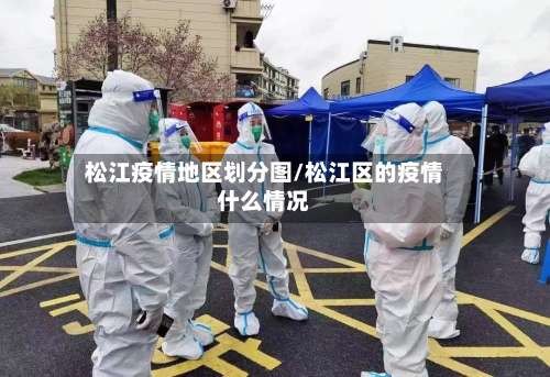 松江疫情地区划分图/松江区的疫情什么情况-第3张图片