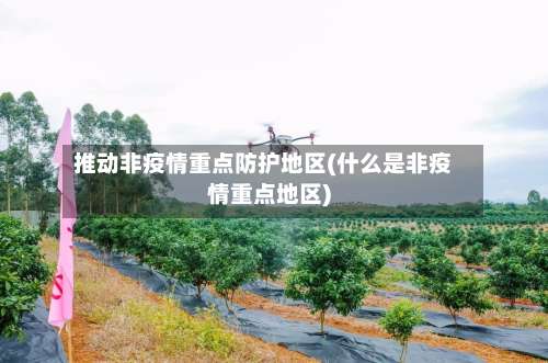推动非疫情重点防护地区(什么是非疫情重点地区)-第3张图片