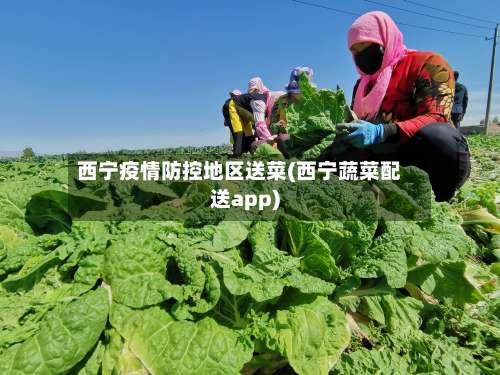 西宁疫情防控地区送菜(西宁蔬菜配送app)-第2张图片