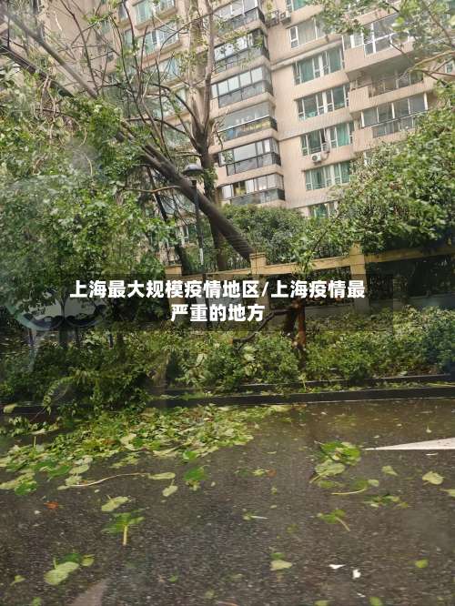 上海最大规模疫情地区/上海疫情最严重的地方-第1张图片