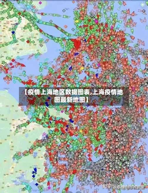【疫情上海地区数据图表,上海疫情地图最新地图】-第3张图片