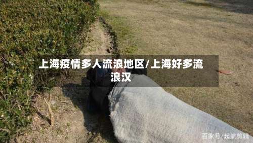 上海疫情多人流浪地区/上海好多流浪汉-第1张图片