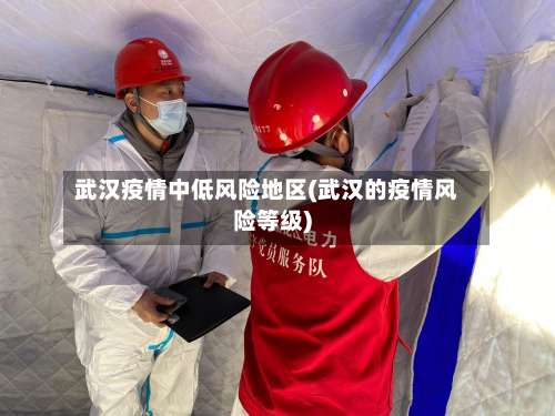 武汉疫情中低风险地区(武汉的疫情风险等级)-第2张图片