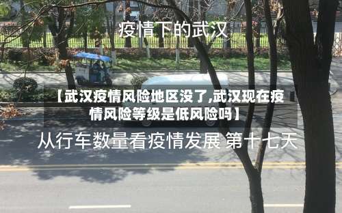 【武汉疫情风险地区没了,武汉现在疫情风险等级是低风险吗】-第1张图片