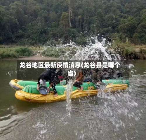 龙谷地区最新疫情消息(龙谷县是哪个省)-第1张图片