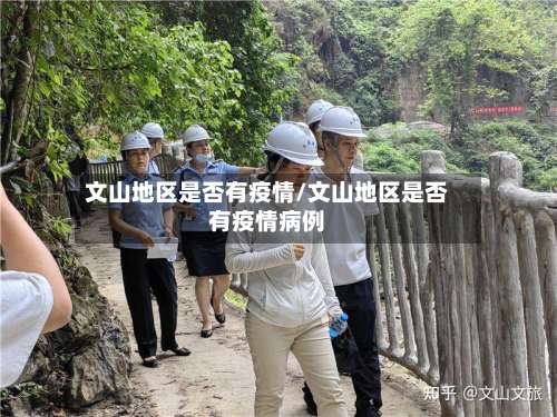 文山地区是否有疫情/文山地区是否有疫情病例-第1张图片