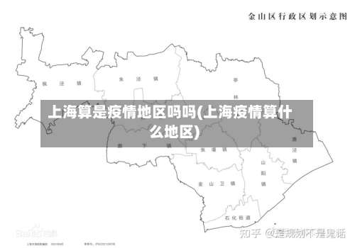 上海算是疫情地区吗吗(上海疫情算什么地区)-第1张图片