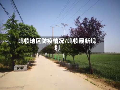 鸣犊地区防疫情况/鸣犊最新规划-第1张图片