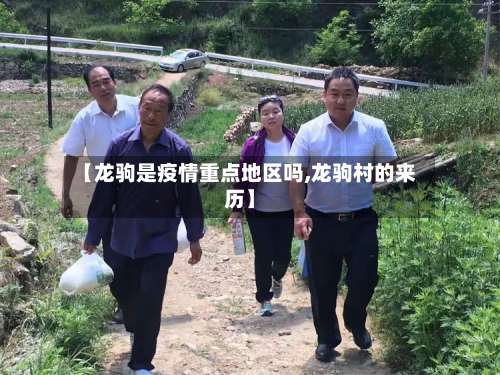 【龙驹是疫情重点地区吗,龙驹村的来历】-第2张图片