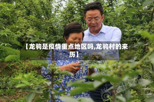 【龙驹是疫情重点地区吗,龙驹村的来历】-第1张图片