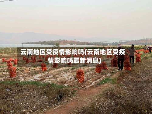 云南地区受疫情影响吗(云南地区受疫情影响吗最新消息)-第2张图片